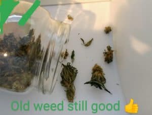 old marijuana in a sealer - 2 years old and still good