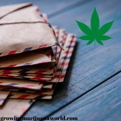 mailing marijuana in Canada
